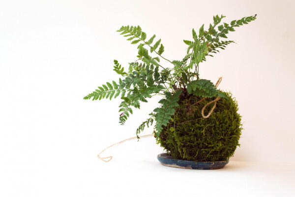 Atelier art floral- pouldreuzic-pays bigouden