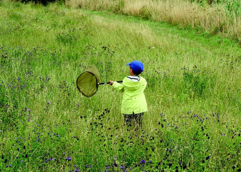 atelier nature - tréguennec - pays bigouden