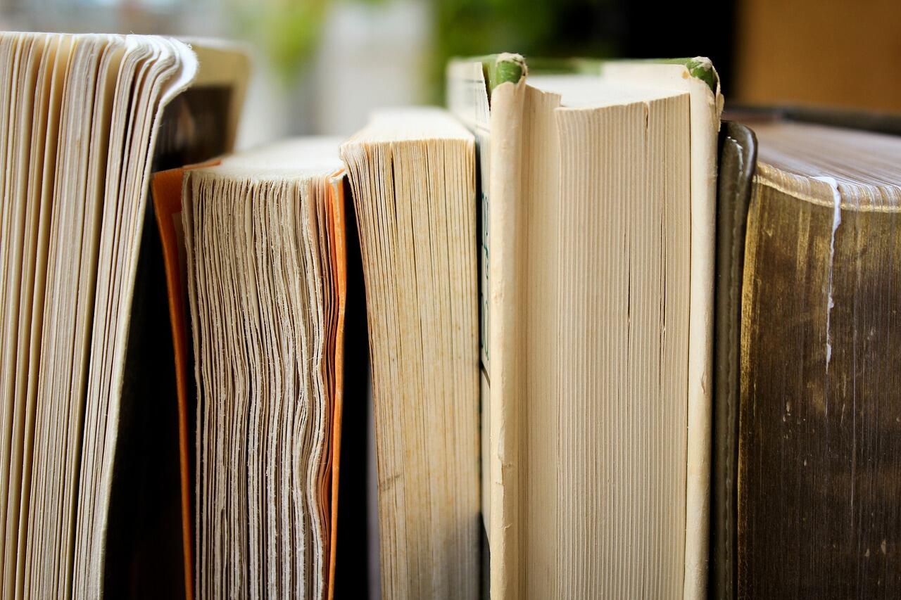 Foire aux livres - Pont-l'Abbé - Paysbigouden - Bigoudenjoy