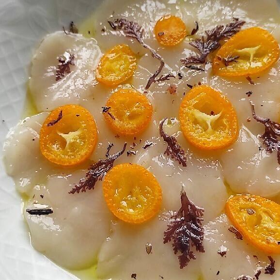 carpaccio de St Jacques