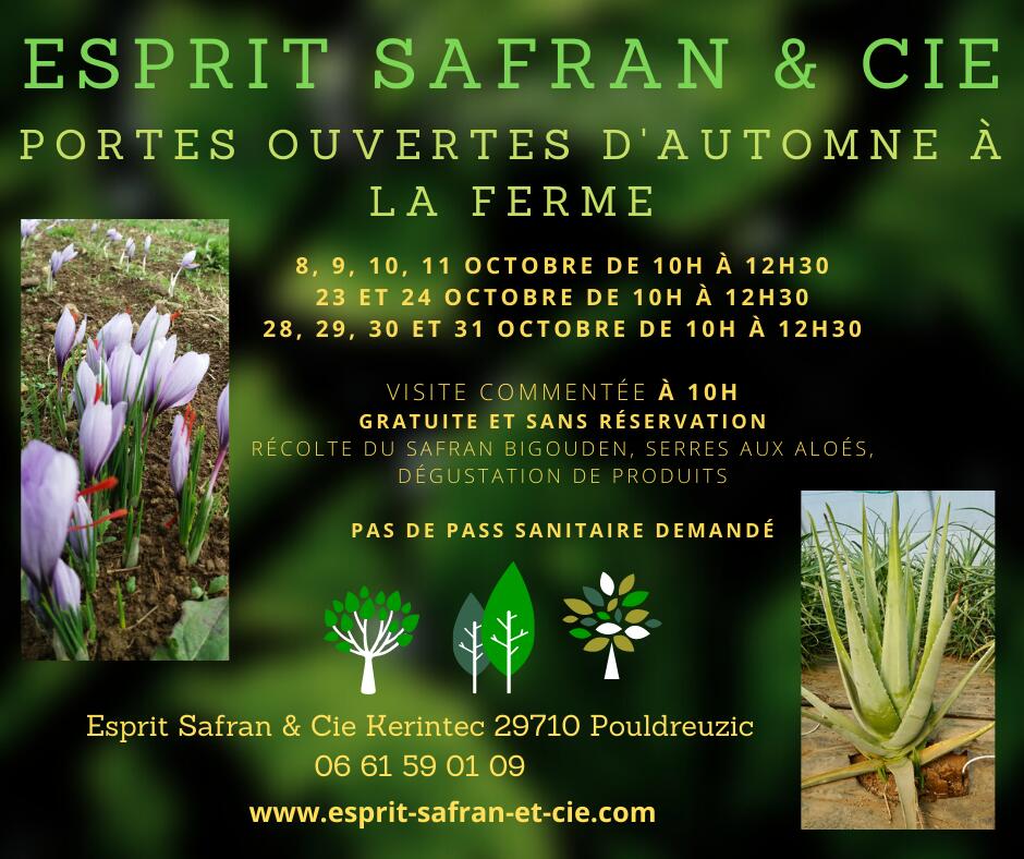 Porte ouverte-esprit safran-pouldreuzic-pays bigouden