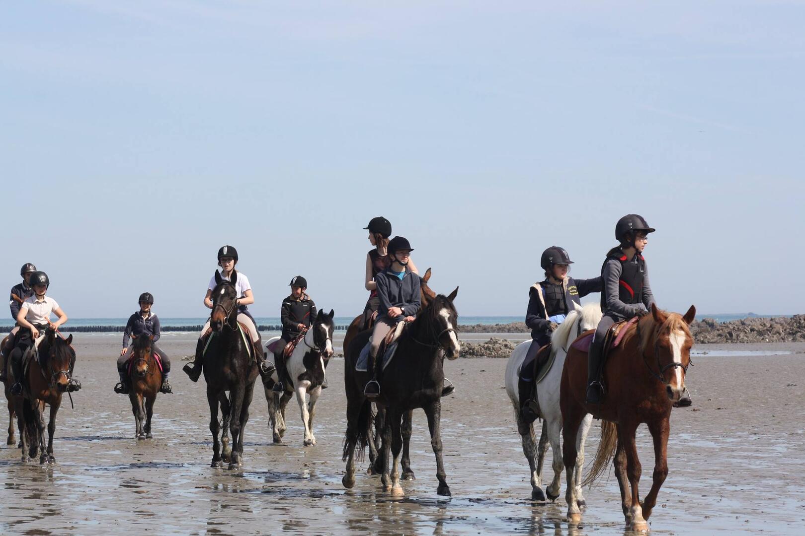 ecole-equitation-pva