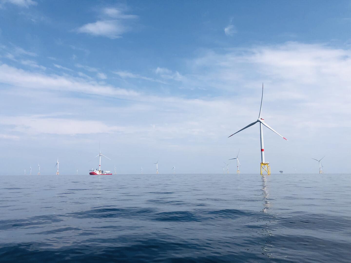 Visite du parc éolien