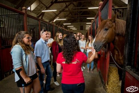 f2e3183ed1db639d687e239e87ce384c7d76187d-w487