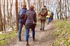 Balade dans les bois - Saint Jean Trolimon - Pays Bigouden - Bigoudenjoy