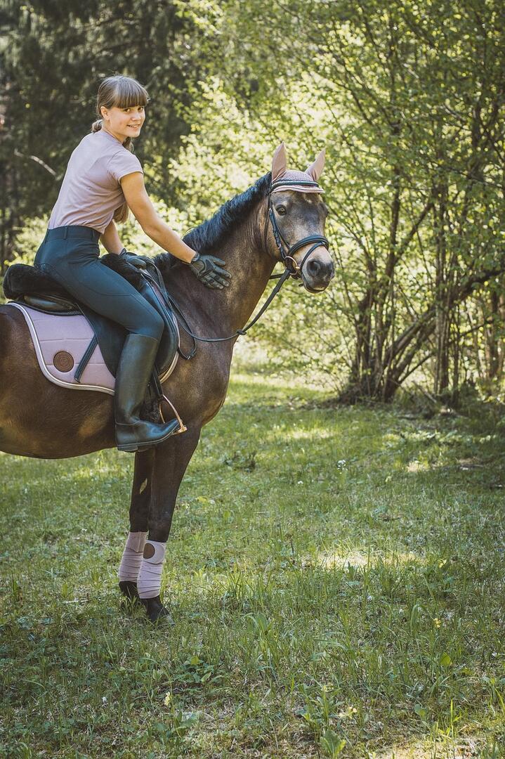 horsewoman-6281480_1280