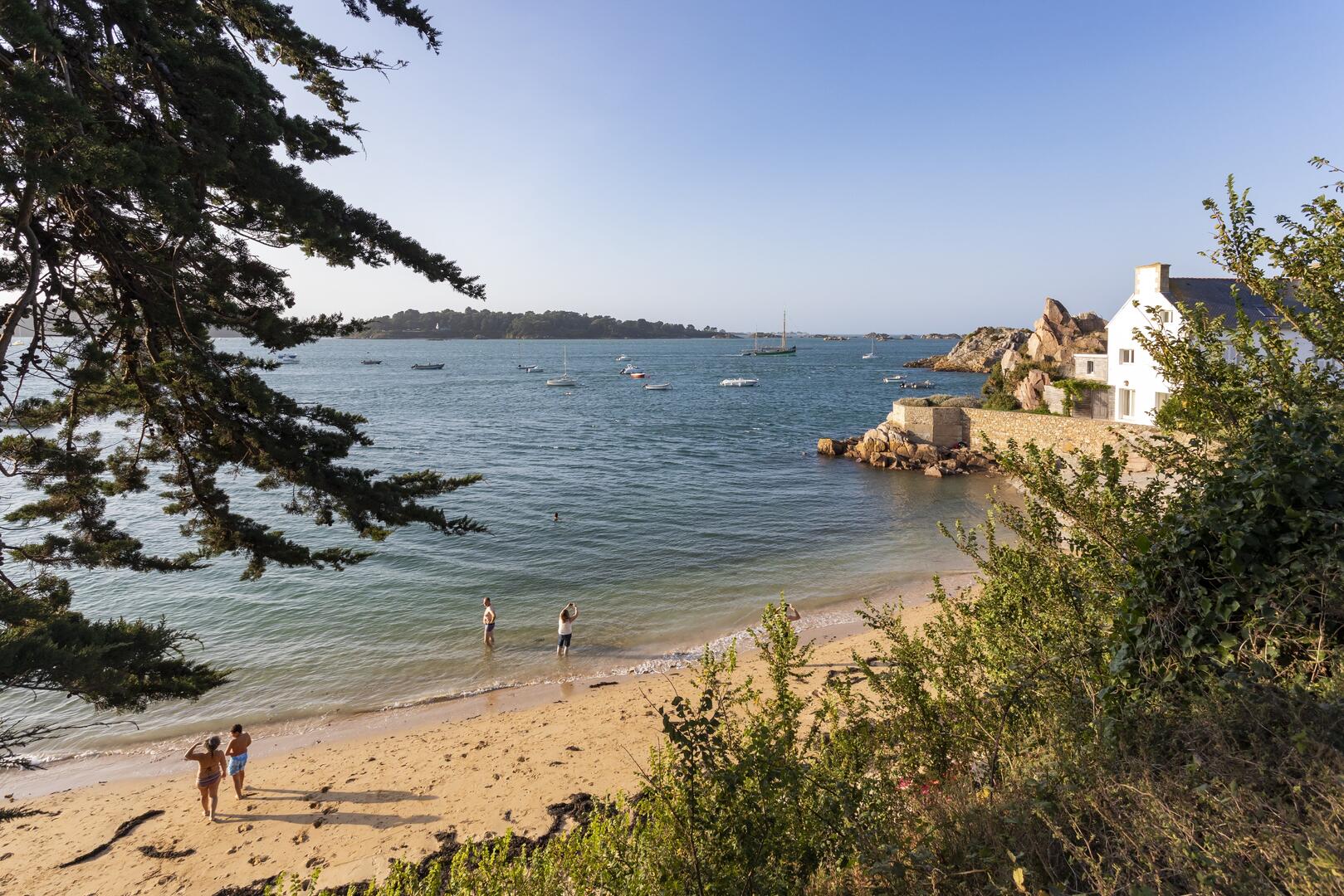 Plage de Roc'h Hir à Loguivy de la mer -  Ploubazlanec
