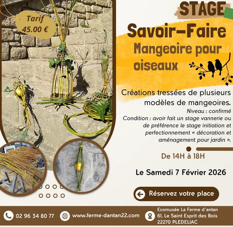 stage mangeoire oiseaux 2