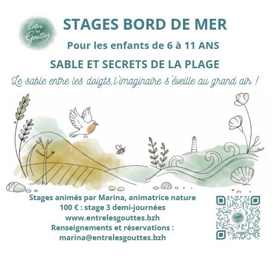 stageborddemer