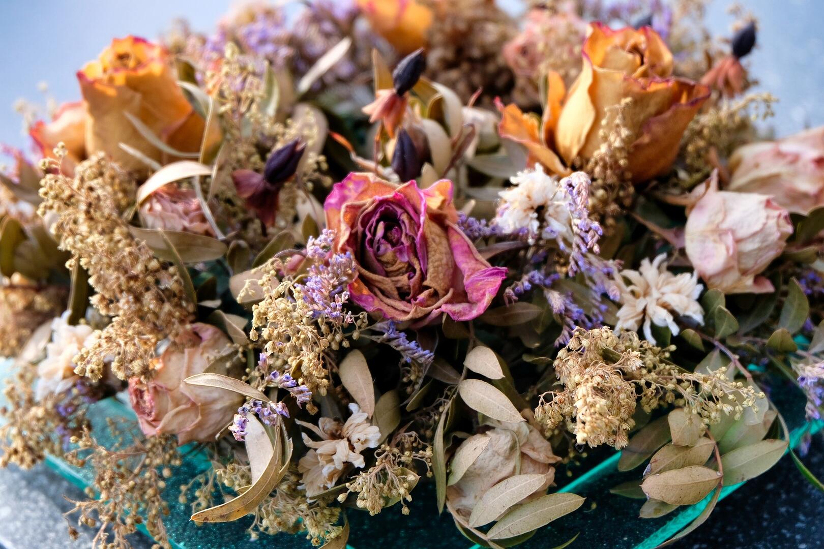 sinawa-dried-flowers-4850440_1920