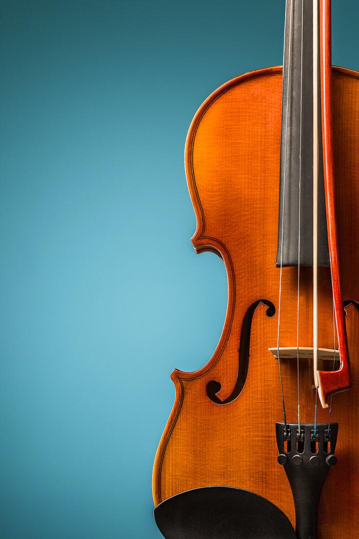 Les enfants découvriront tous les secrest des instruments à cordes.