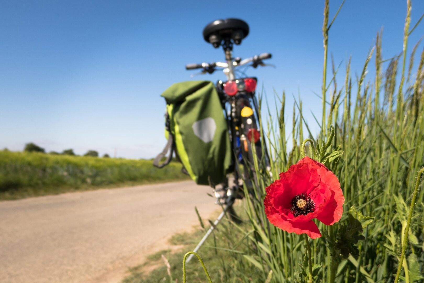 Balade vélo guidée-Landudec-Pays Bigouden