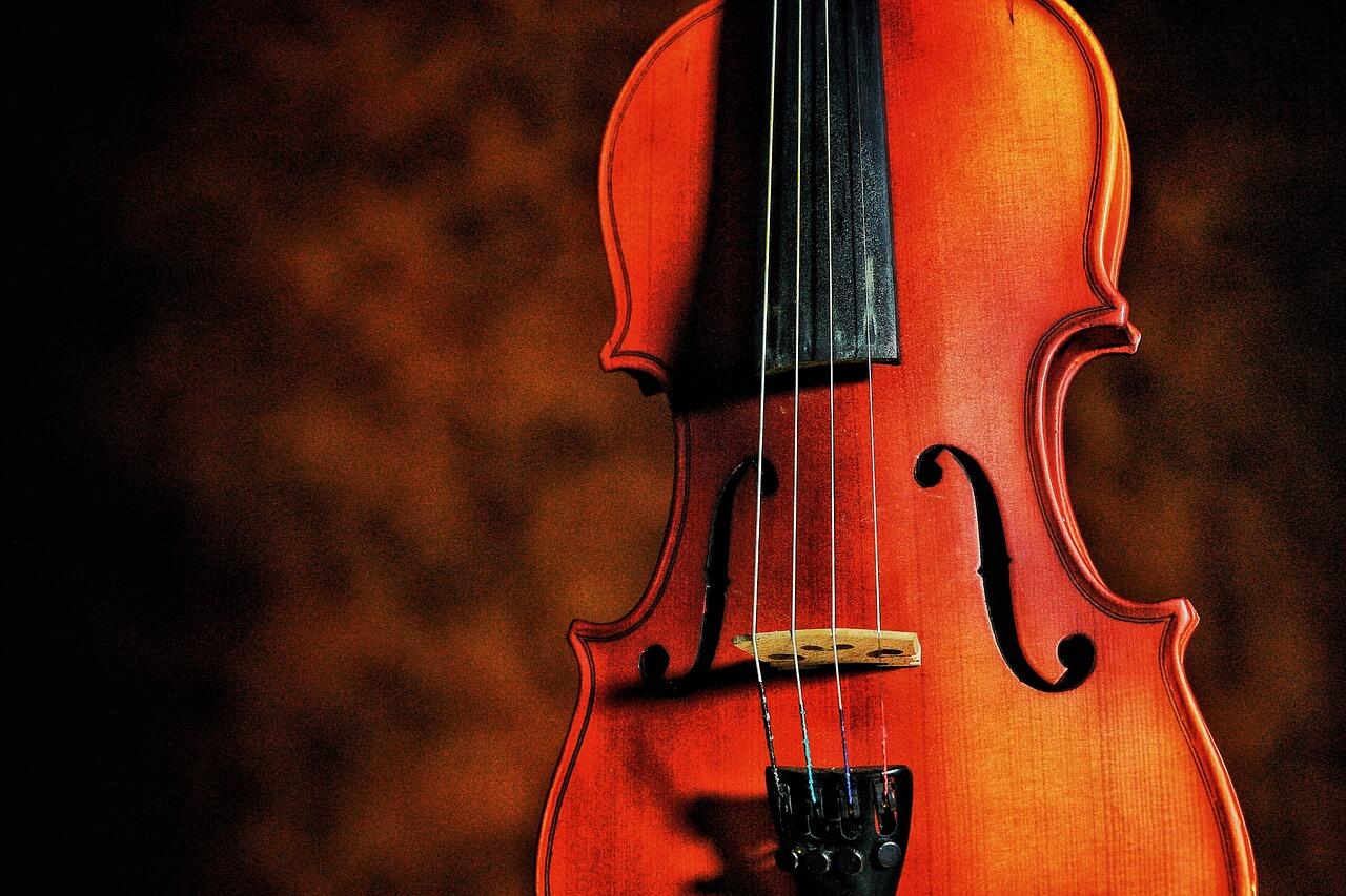 violin