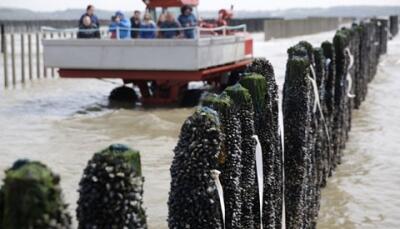 visite-des-bouchots-2-2