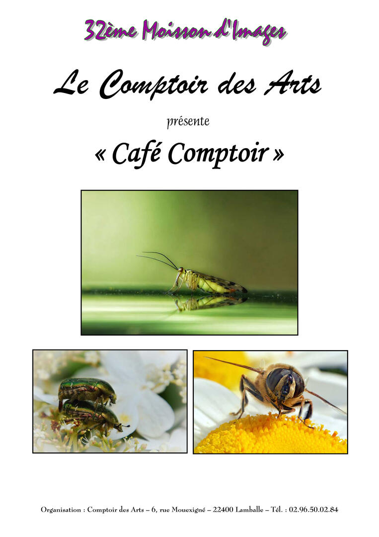 2025-19-CdA-CaféComptoir