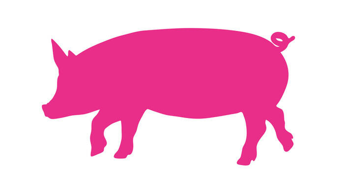 4aed514d31db475e85ad64bdbd5c5aa7.base.image