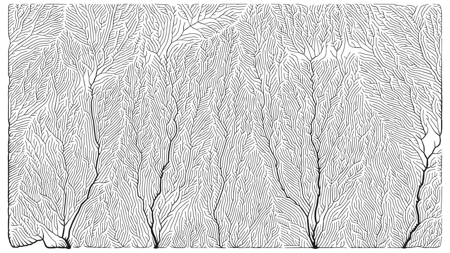 Linogravure - Combrit Ste-Marine - Pays bigouden - Bigoudenjoy
