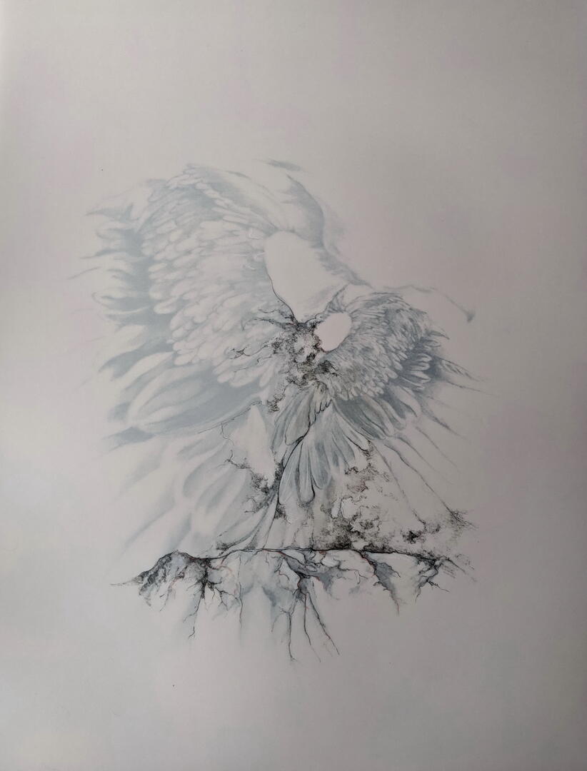 Mylène Fritchi-Roux « Cébenna » - 2023 - encre et crayon de couleur sur papier calque - 65 x 50 cm