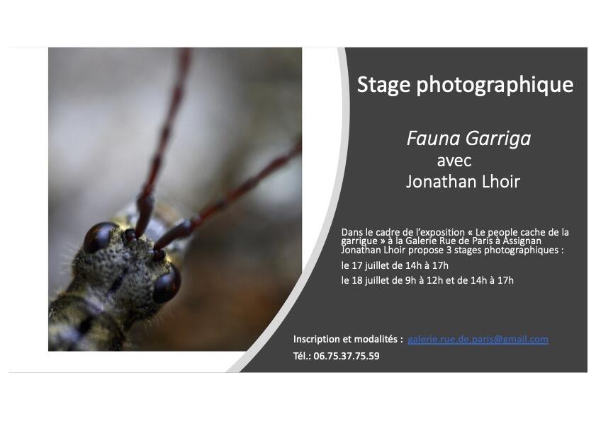 Affiche stage Jonathan Lhoir