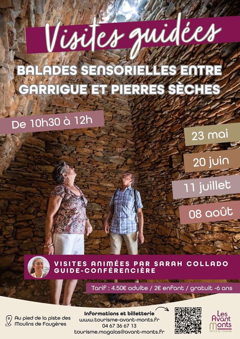 Affiche visites guidée