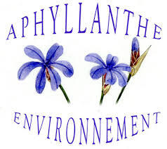 Aphylante environnement