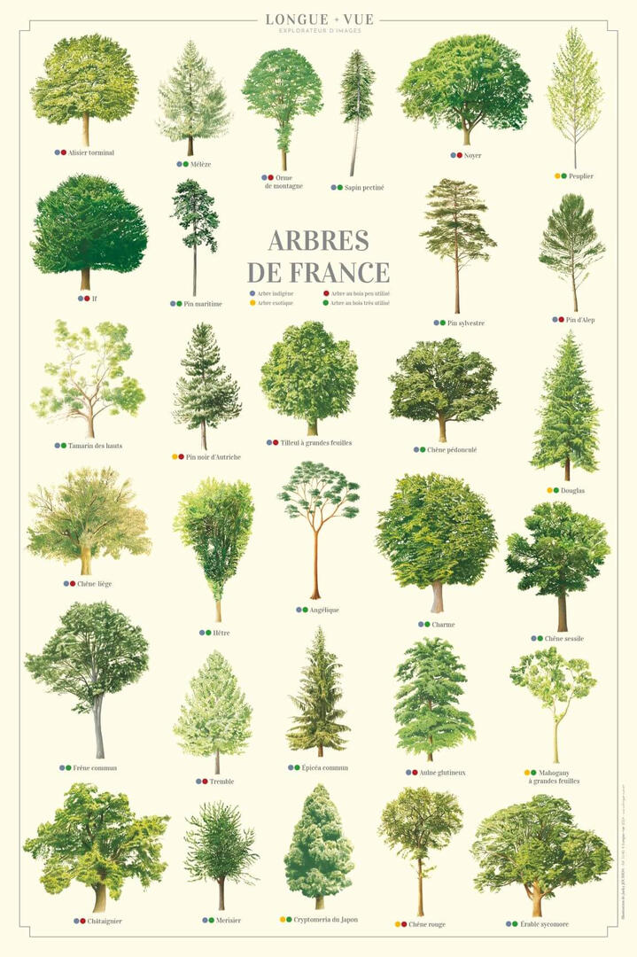 Arbres