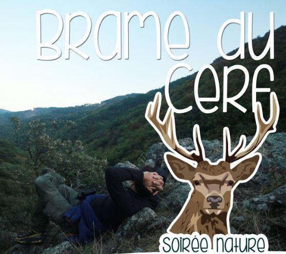 Brame du caerf - Sortie Nature