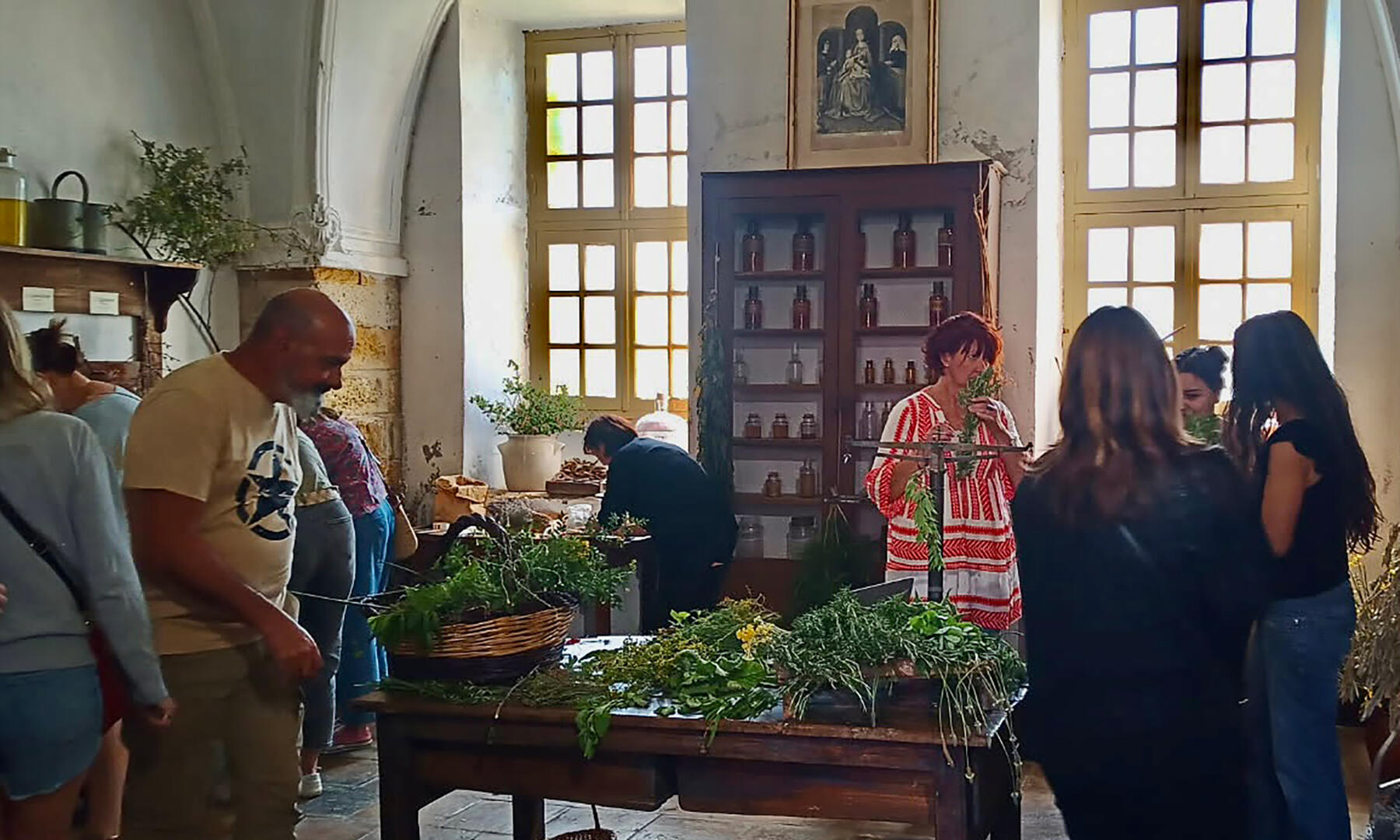Les ateliers des plantes de Palmira Martins à Cassan