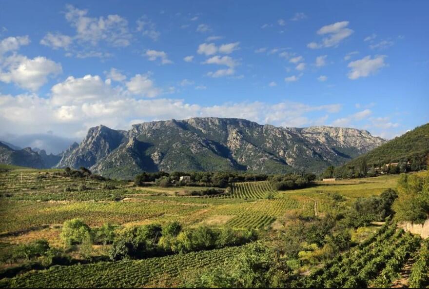 Circuit Mons VTT 1 Le Verdier