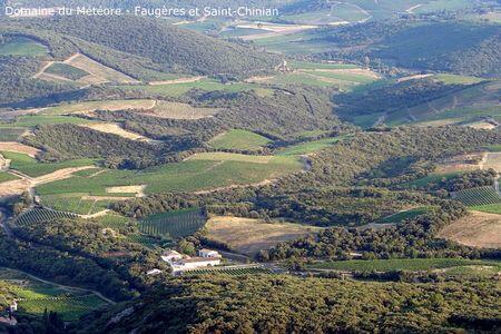 DOMAINE DU METEORE VIGNES