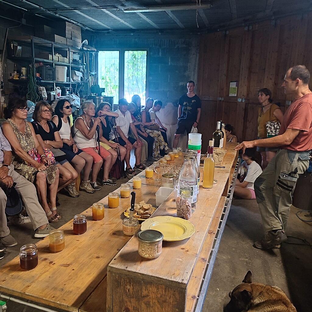 Dégustaion au RUCHER DES ARTS