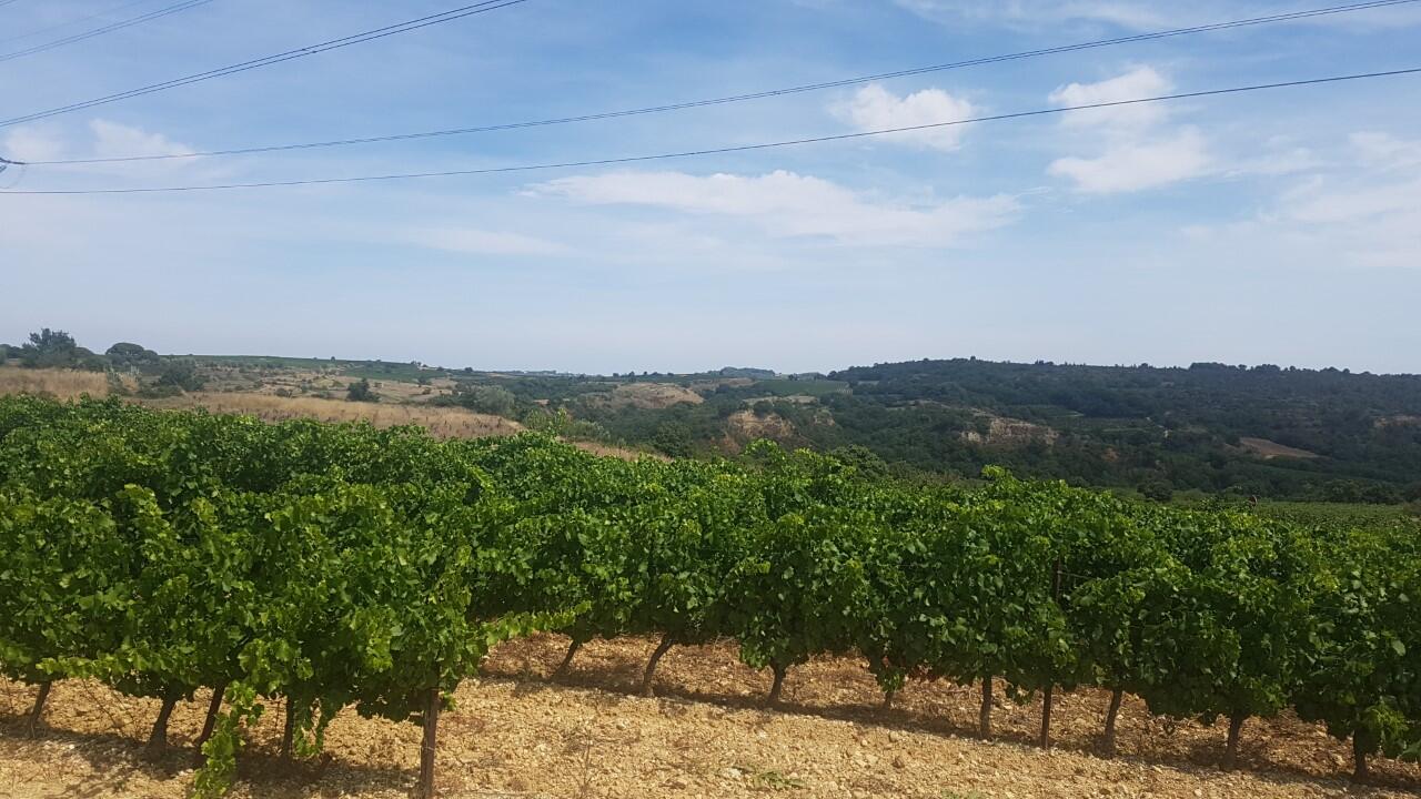 Domaine Galtier 4