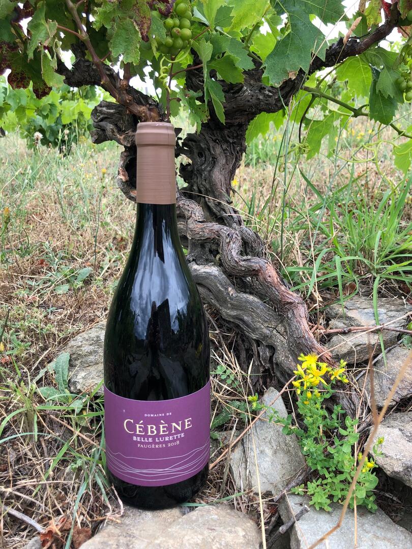 Domaine de Cébène©