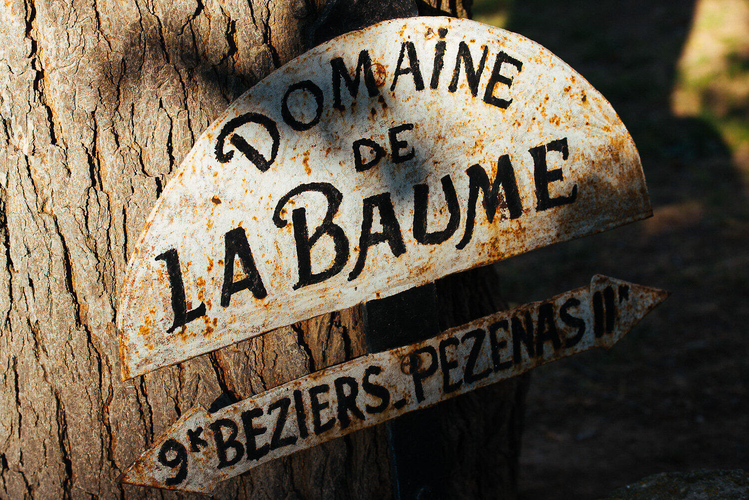 Domaine de la Baume Servian 5