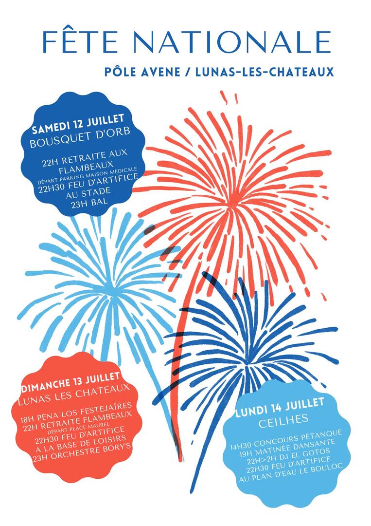 Bleu blanc rouge Illustré Feu d'artifice Fête Nationale Affiche - 1