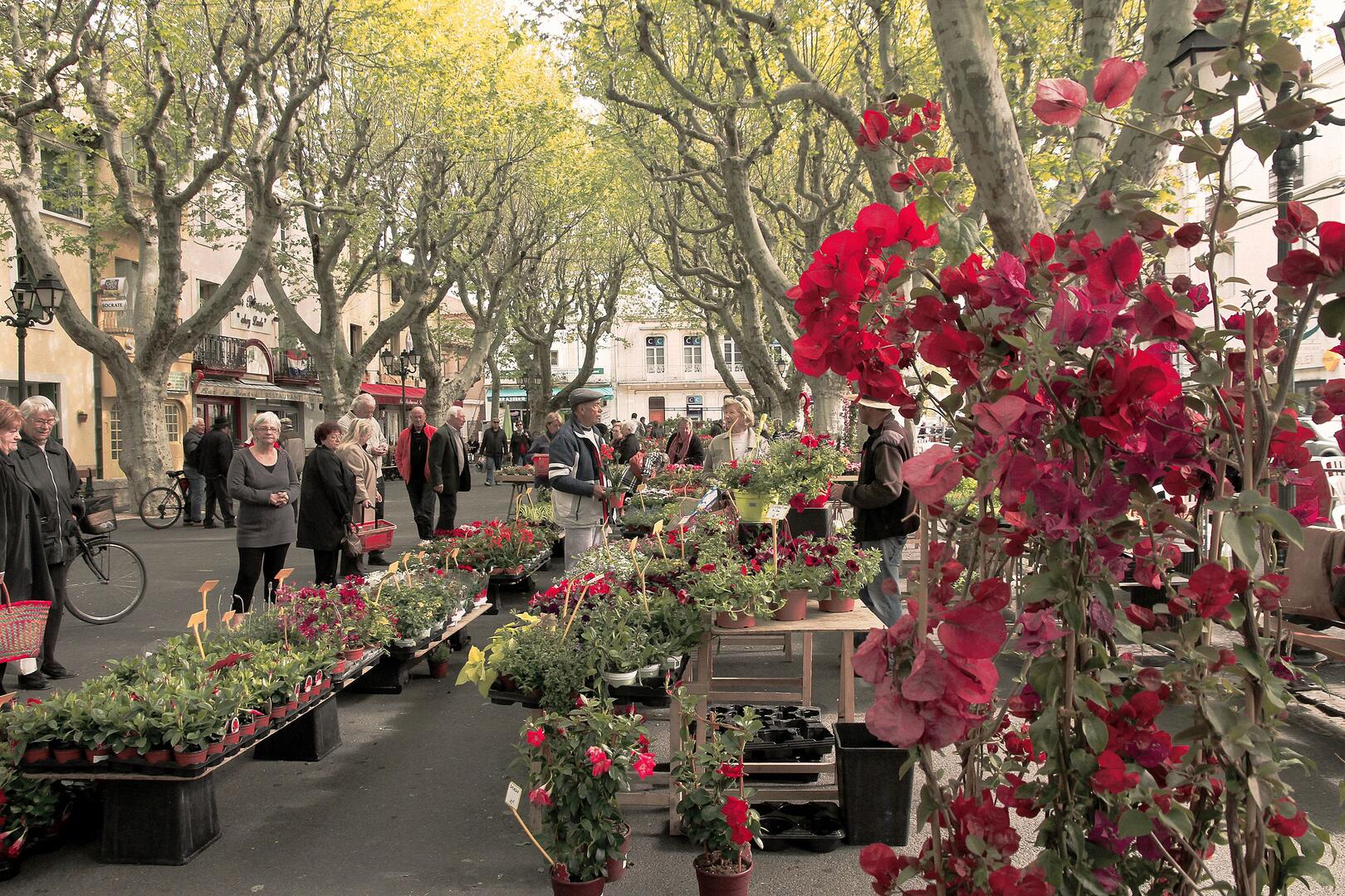 Foire aux plantes SERIGNAN