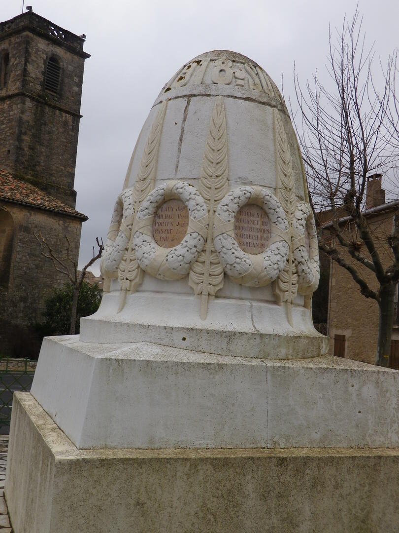 IMGP3111