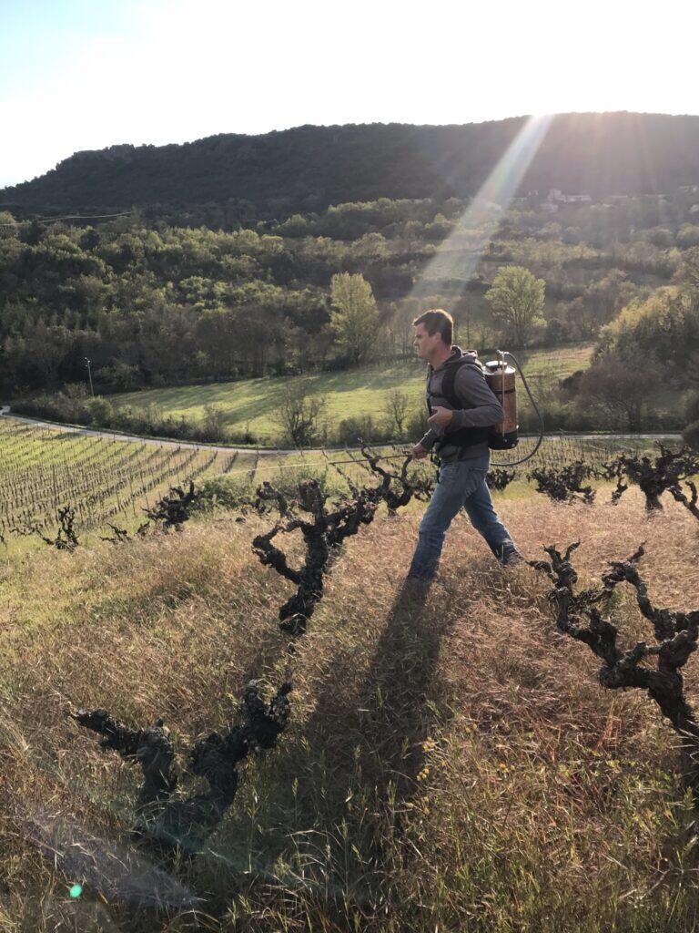V. AUGE DANS SES VIGNES