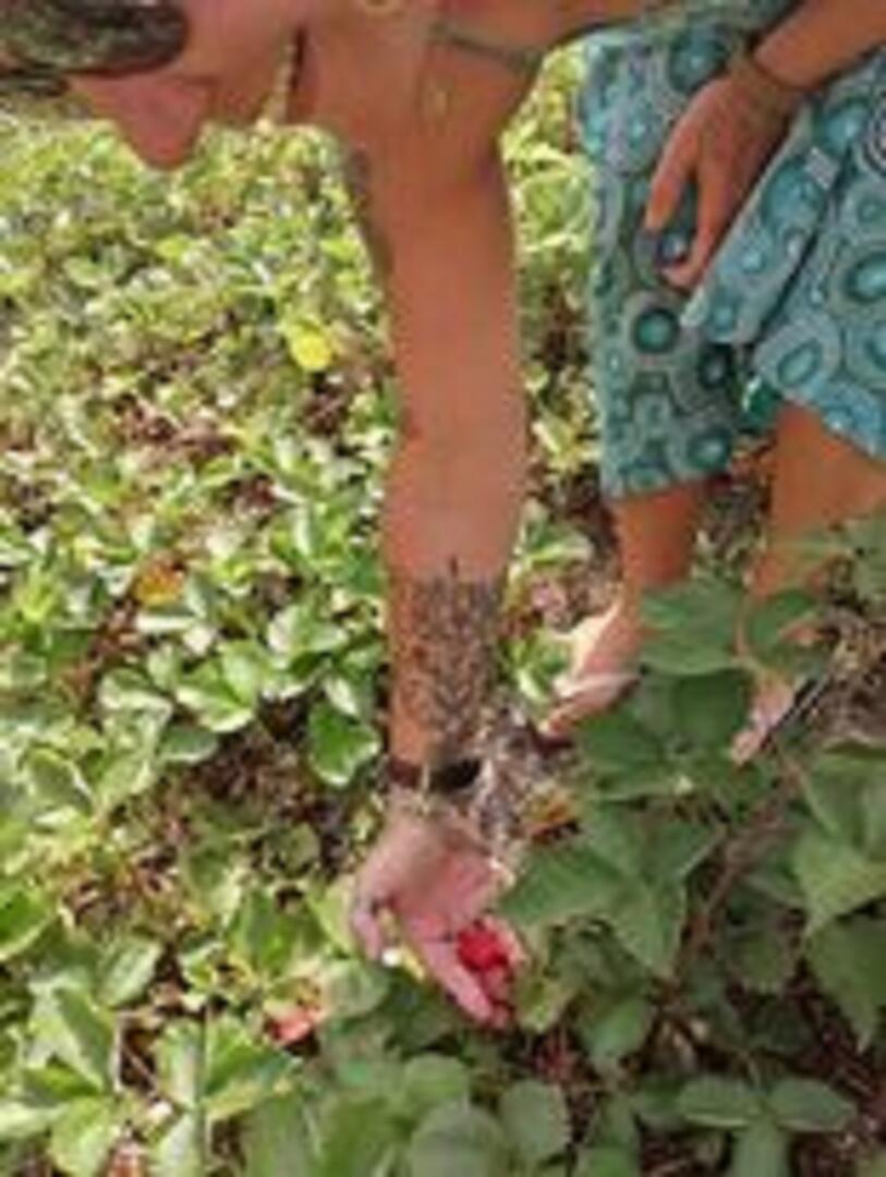 LES REVES D'ANNABELLE