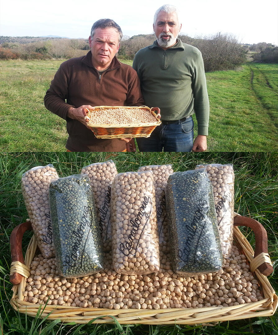 Les 2 producteurs de Pois chiches de Carlencas