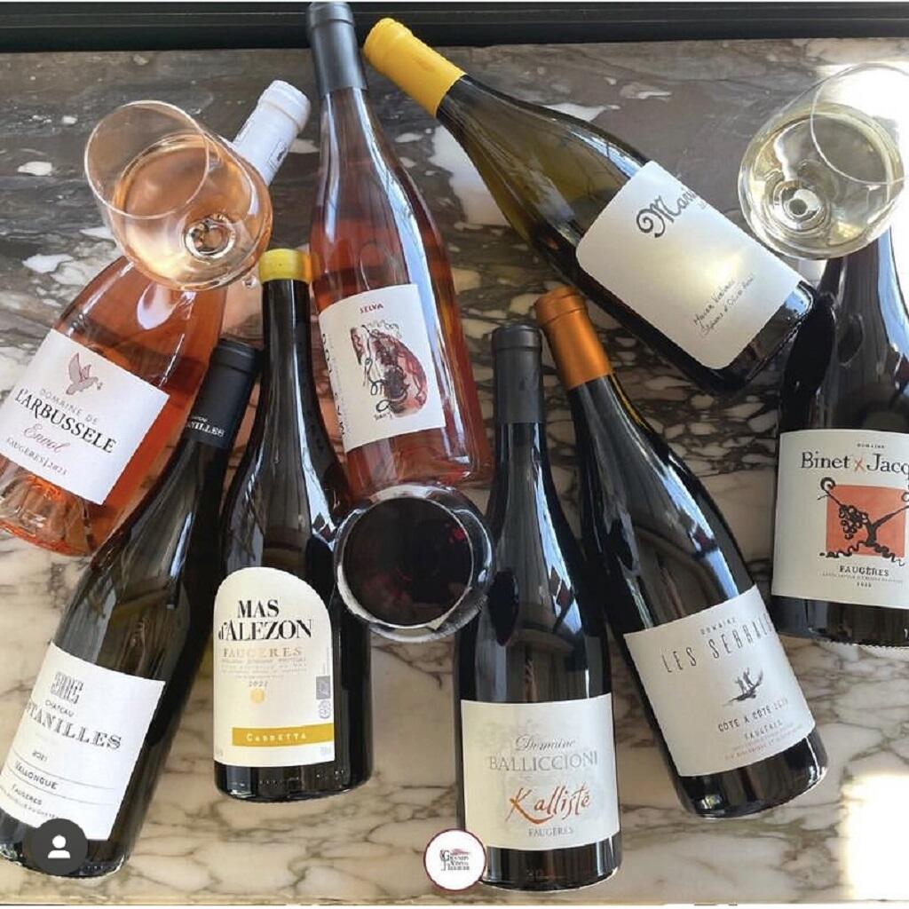 Les Grands Vins du Terroir - 02