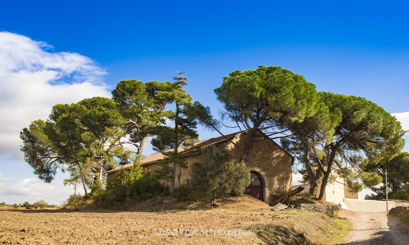 Les Trois Puechs Olivier Lebaron