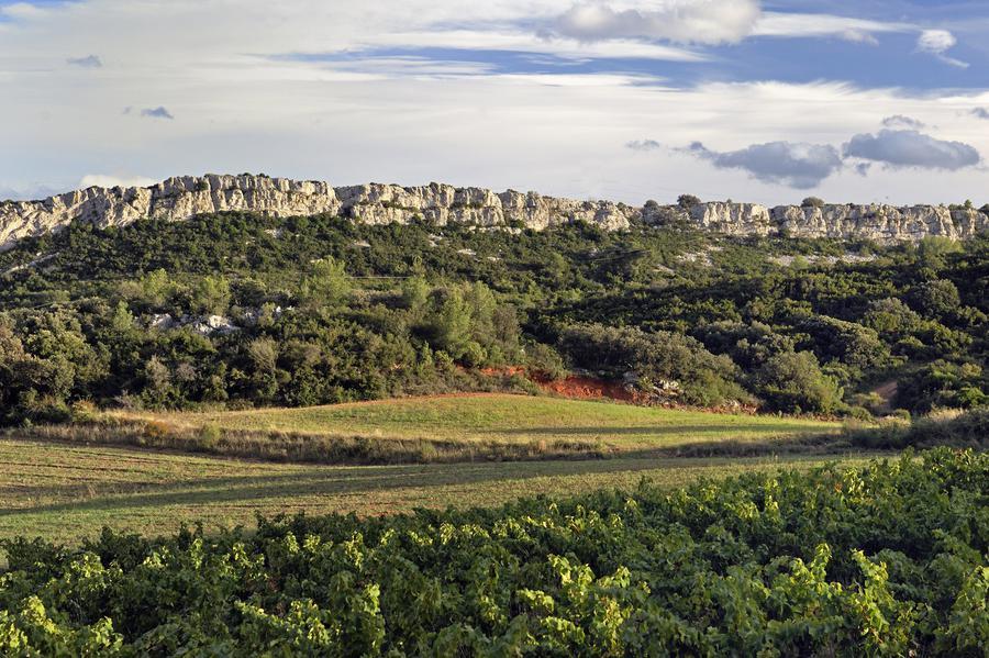 Pinede-barre-rocheuse