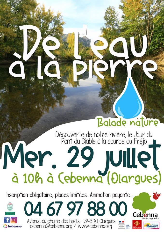 RALLYE Nature - cebenna 29juil26