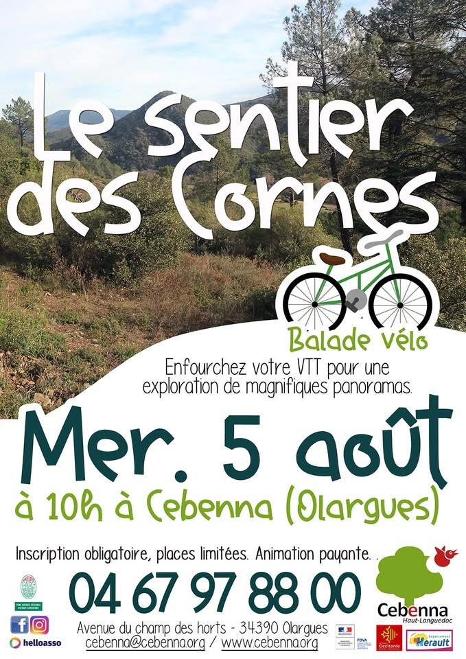 Sortie VTT - cebenna 050826
