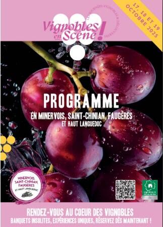 VIGNOBLE EN SCENE