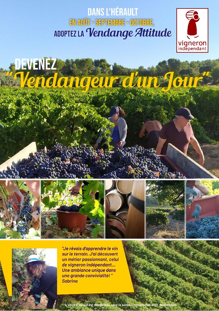 Vendangeur d'un jour-page001