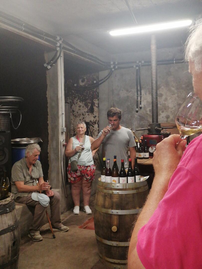 Vincent - MAS DES MESURES