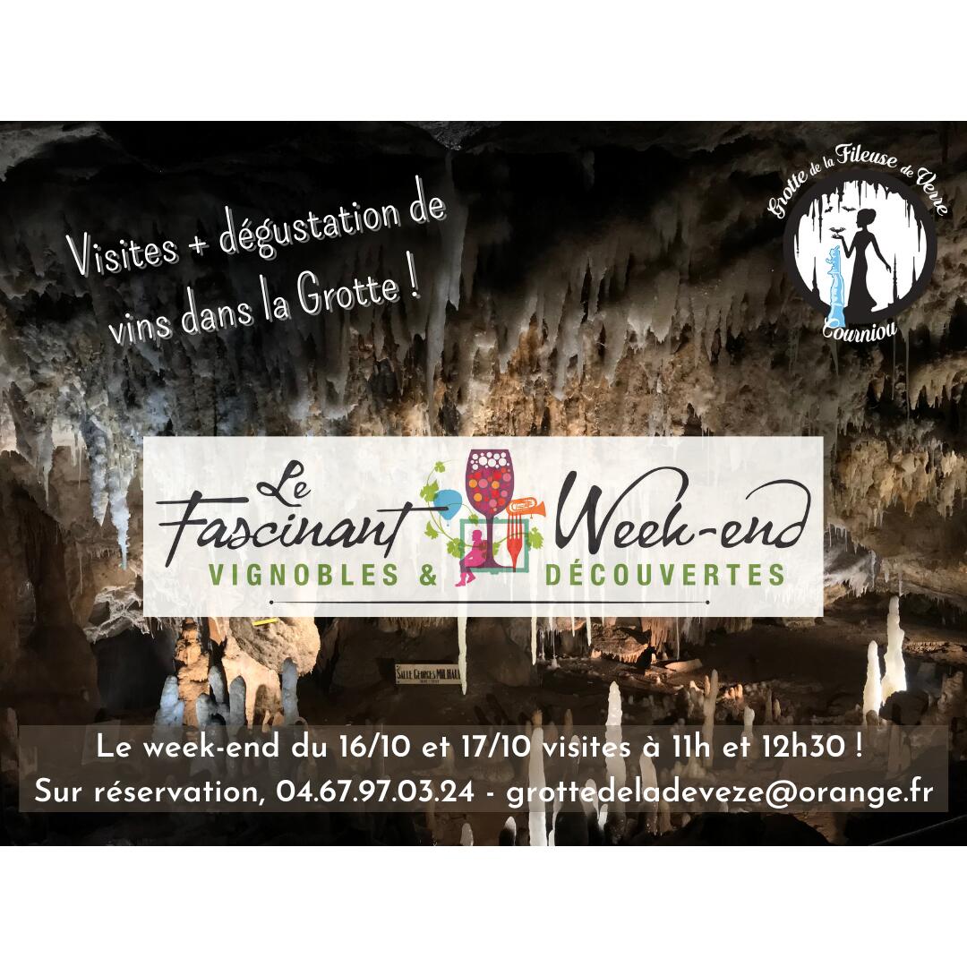 Visite + dégustation de vin