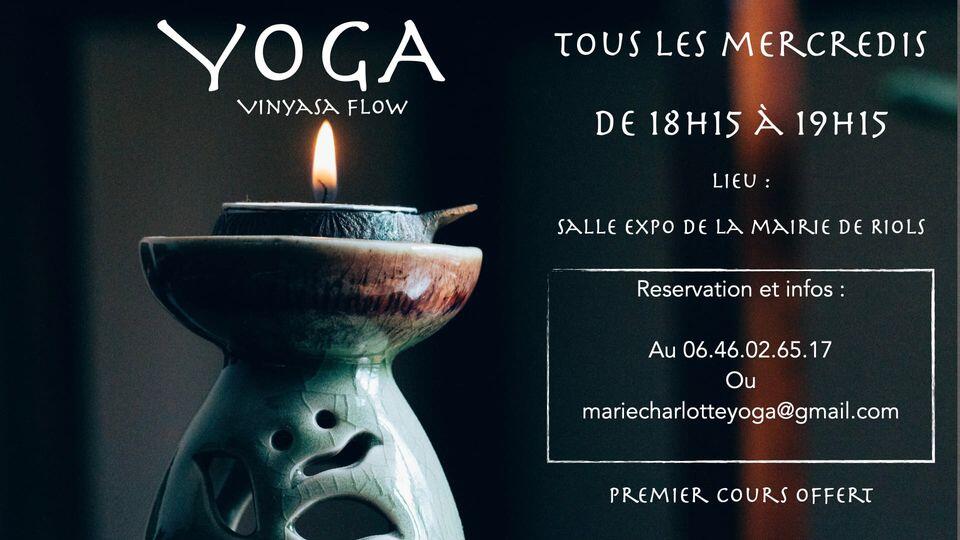 Yoga Vinyasa Flow
